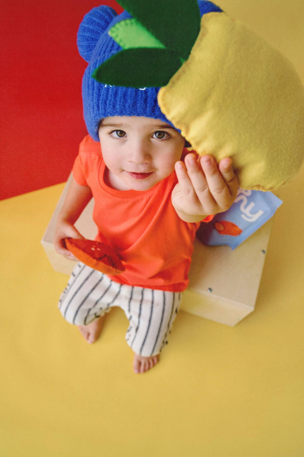 Pineapple & Coconut Bundle